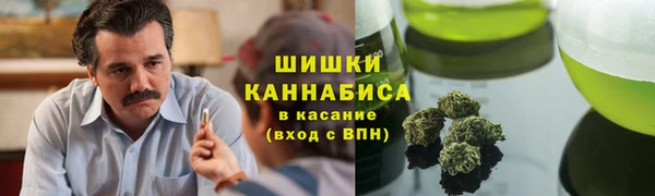 сатива Абаза