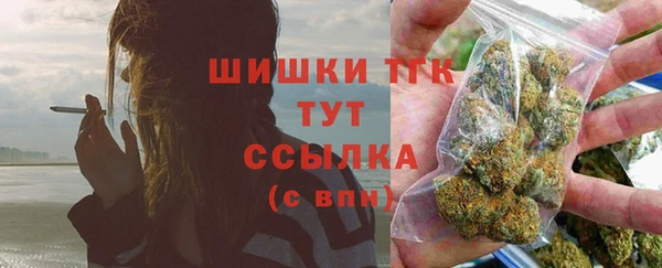 сатива Абаза