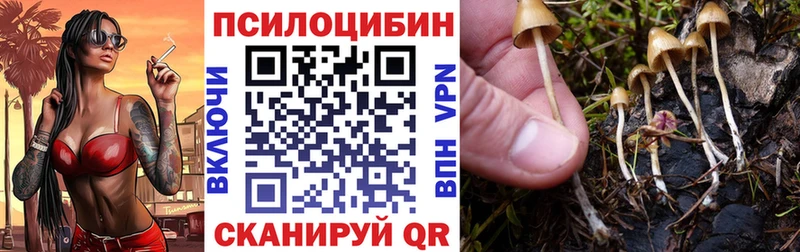 Псилоцибиновые грибы Magic Shrooms Липецк