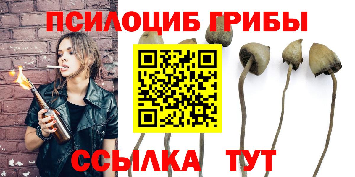 Псилоцибиновые грибы ЛСД  Вход с VPN  Липецк  Галлюциногенные грибы Psilocybe 